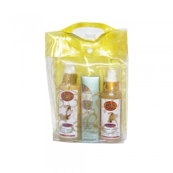 นวดสลายไขมัน Slim Focus Massage Set สินค้าพรีออร์เดอร์ 5-10วัน